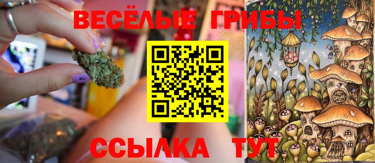 Псилоцибиновые грибы Psilocybe  Вход с VPN  купить наркотик  Новочебоксарск 