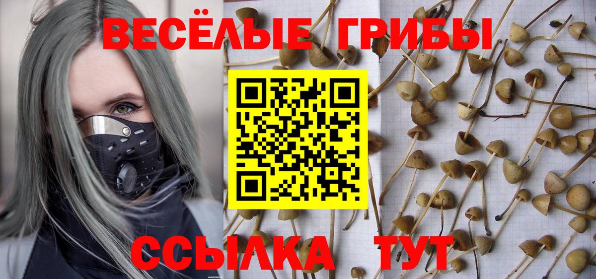 А ПВП Новочебоксарск